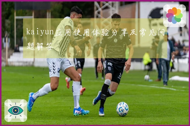kaiyun应用使用体验分享及常见问题解答