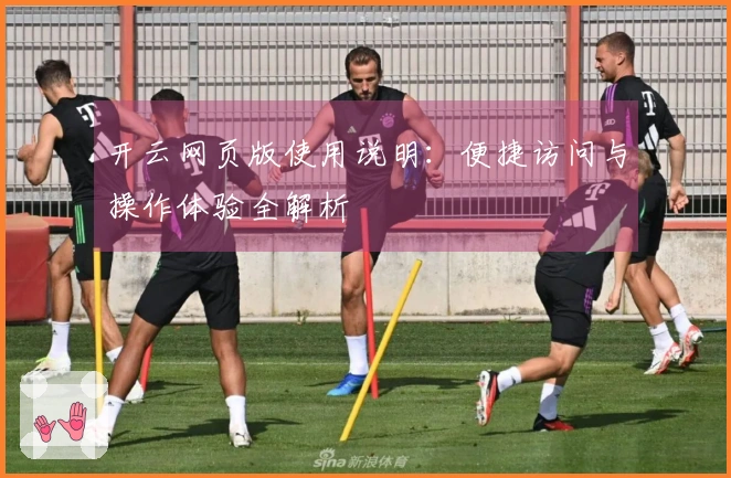 开云网页版使用说明：便捷访问与操作体验全解析